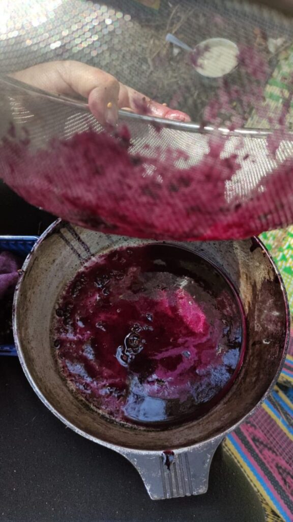 מסננים את האשחר